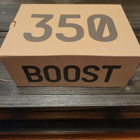 Adidas Yeezy 350 Boost DS - Picture 3 of 6